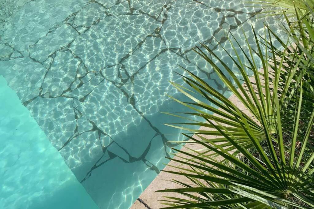 Villa Des Oliviers Avec Piscine Chassagny Εξωτερικό φωτογραφία