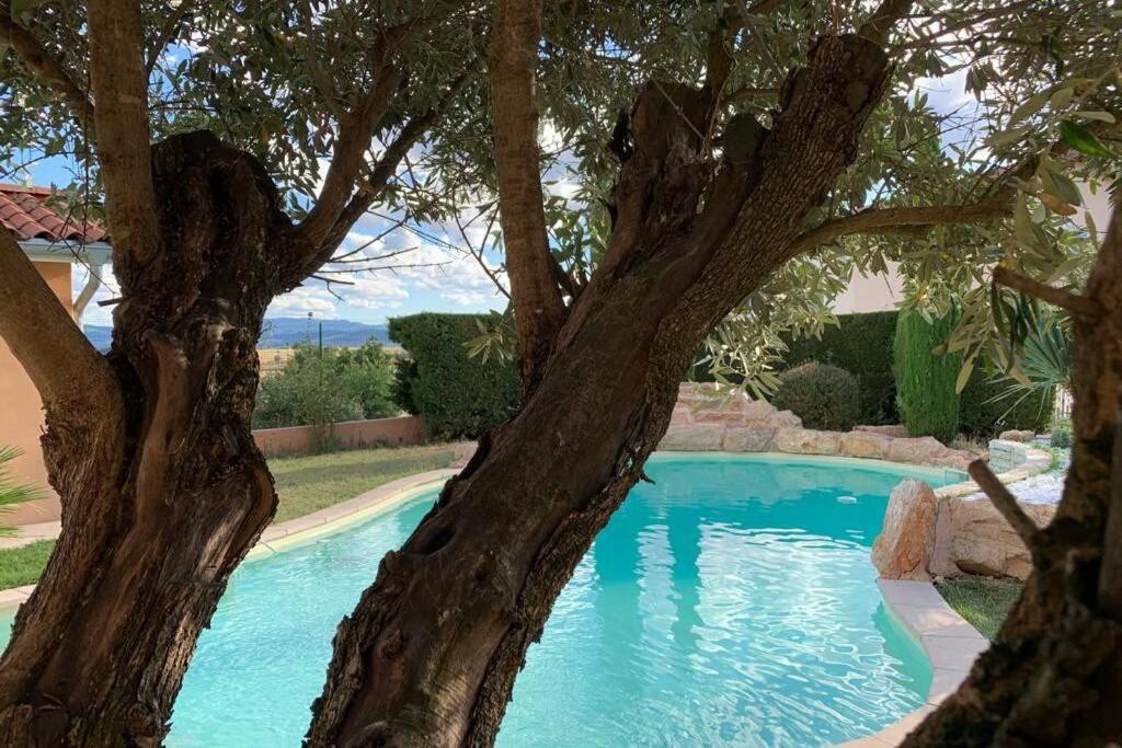 Villa Des Oliviers Avec Piscine Chassagny Εξωτερικό φωτογραφία